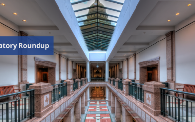 Texas Senate Examines Hotel Occupancy Tax Collection and Accountability